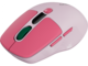 Мишки Canyon MW-26 CNS-CMSW26P