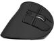 Мишки Natec Euphonie Pro Wireless, Black