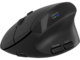 Мишки Canyon MW-25 CNS-CMSW25