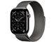 Slate Titanium Case /Slate Milanese Loop M/L