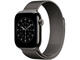 Каишки Apple Watch 42mm Slate Milanese Loop