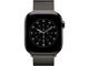 Каишки Apple Watch 42mm Slate Milanese Loop