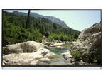Телевизори Panasonic TX-65AX800E