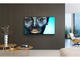 Телевизори Sony KDL-65W955B