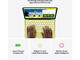 Лаптопи Apple MacBook Neo 13 Citrus