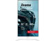 Монитори IIYAMA G-MASTER GB2471HSU-W1