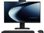 All in One Asus ExpertCenter  P400 P440VAK-BPCD730