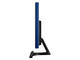 Телевизори Samsung T22D390