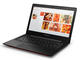 Лаптопи Lenovo IdeaPad U31-70